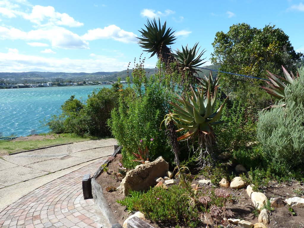 Featherbed Nature Reserve, Knysna, South Africa by Jean Herbrink