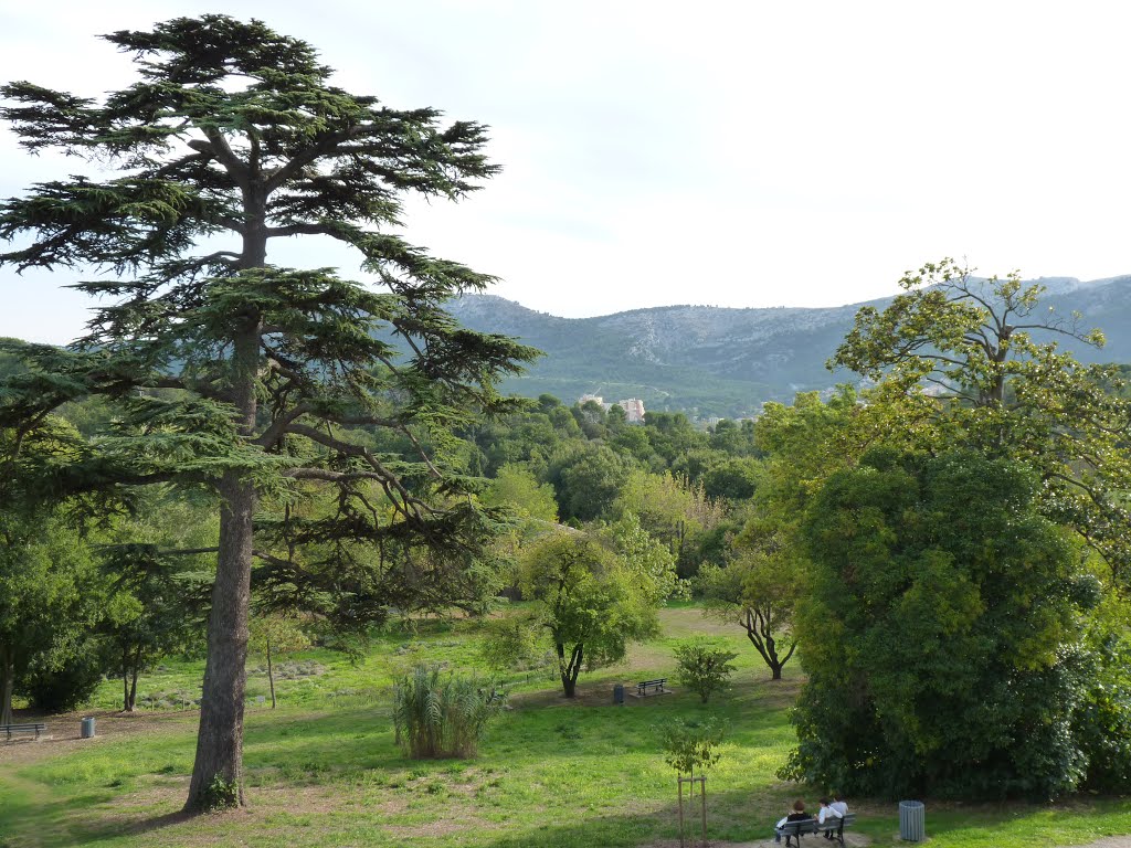 Parc du Château de la Buzine by franck.rip