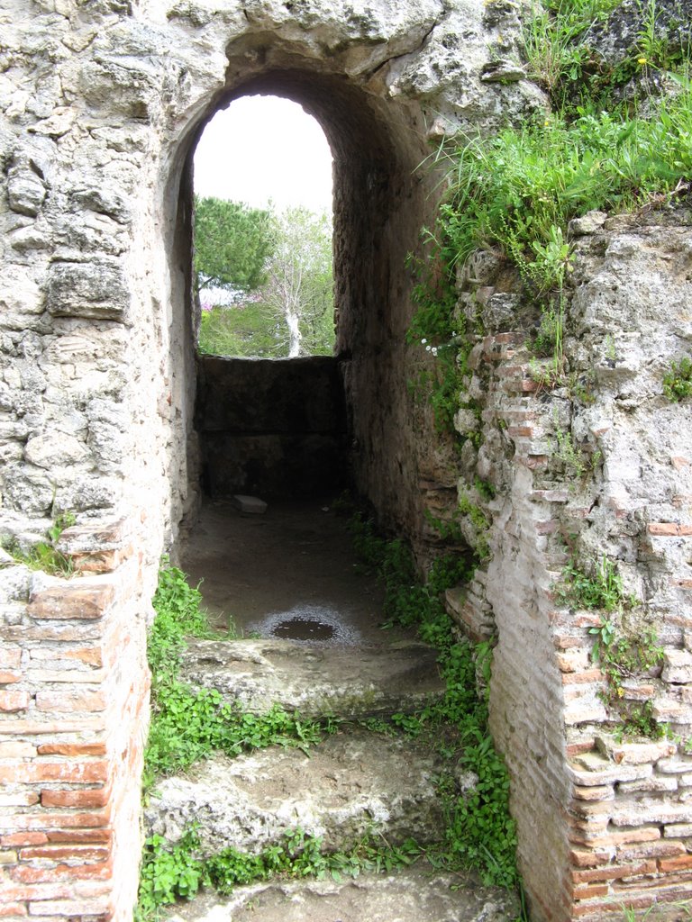 Paestum-Amphithéâtre by Laurent Guyard