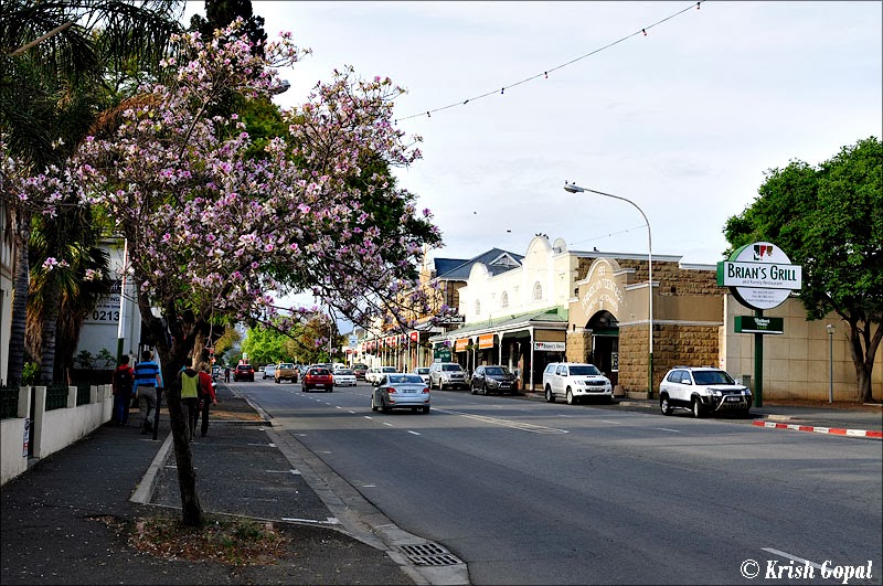 Oudtshoorn by Krish Gopal