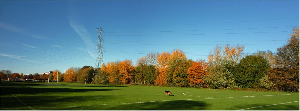 Autumn Playing fields by RobBobTun