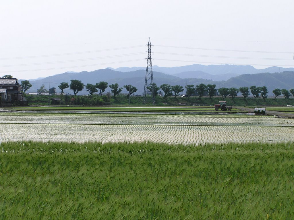 COUNTRYSIDE IN SABAE by Toshimi