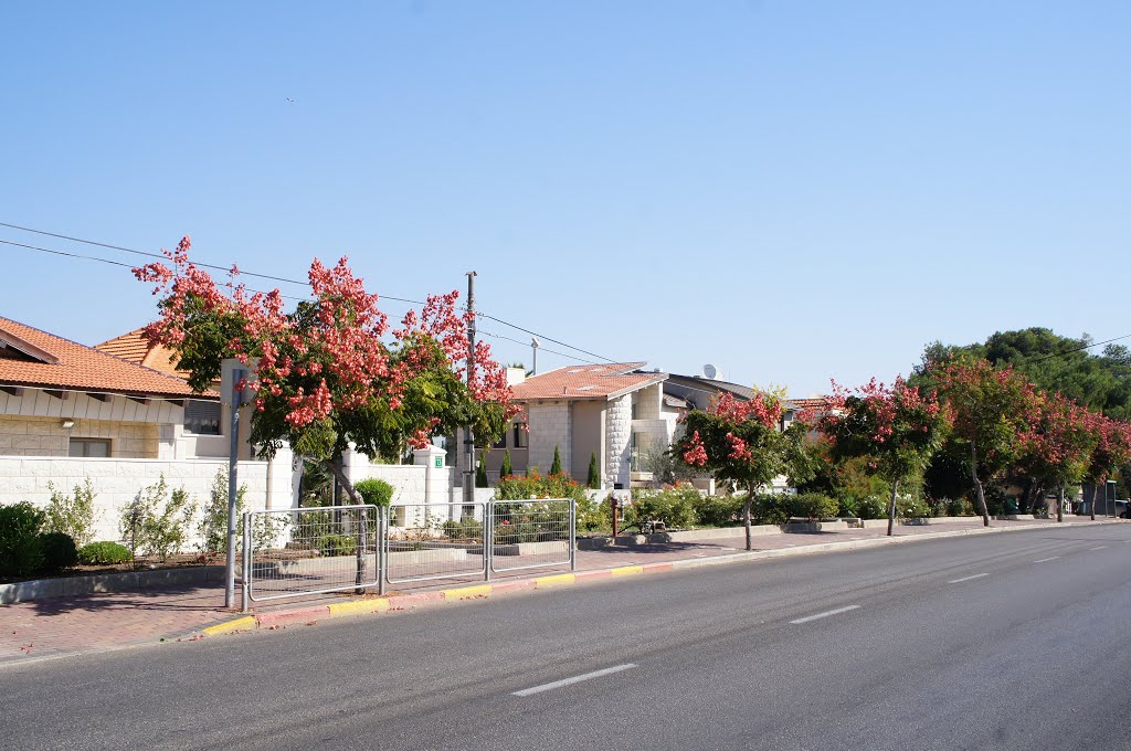 October morning in Nazareth illit by coler