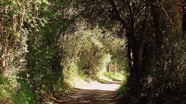 Tunel del Tiempo by Framusa