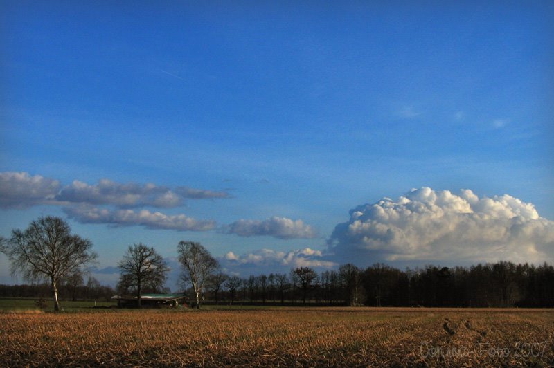 Landschaft am Helvesieker Weg zwischen Stemmen und Helvesiek by Corinna2212