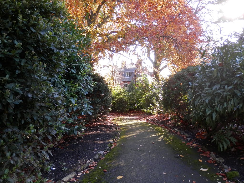 Park Hill (Croydon, London) by Mihalec Hedvig