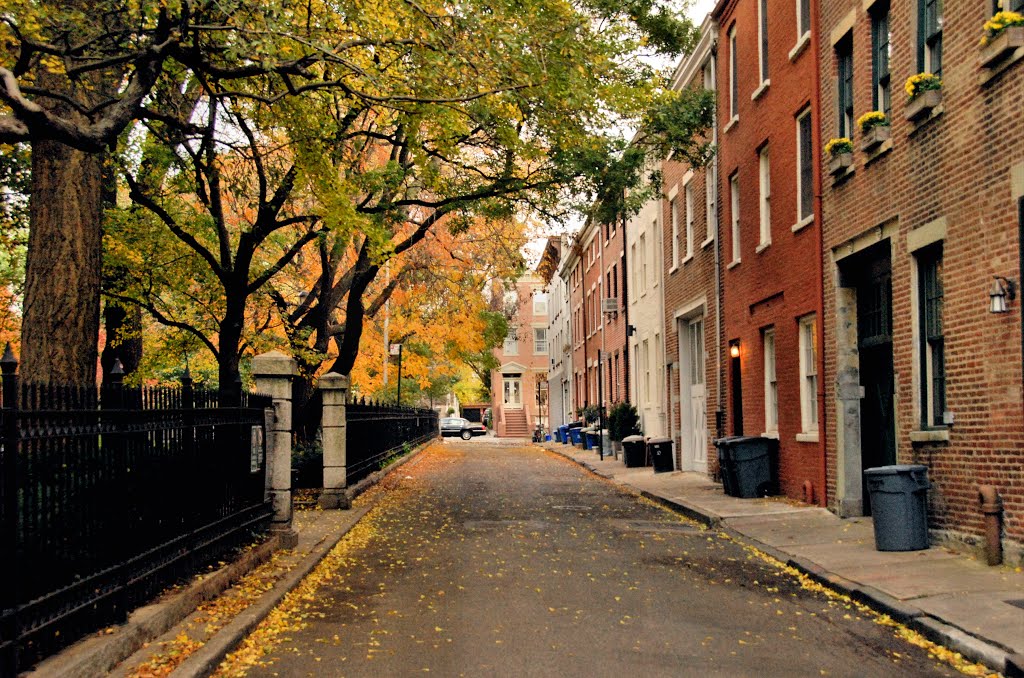 The Homes Alongside Cobble Hill Park by Hank Waxman