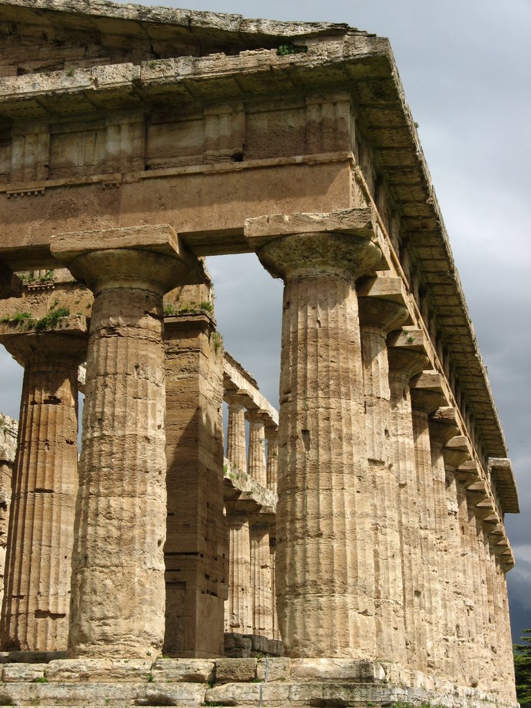 Paestum-Temple d'Héra 2 (dit de Neptune) by Laurent Guyard