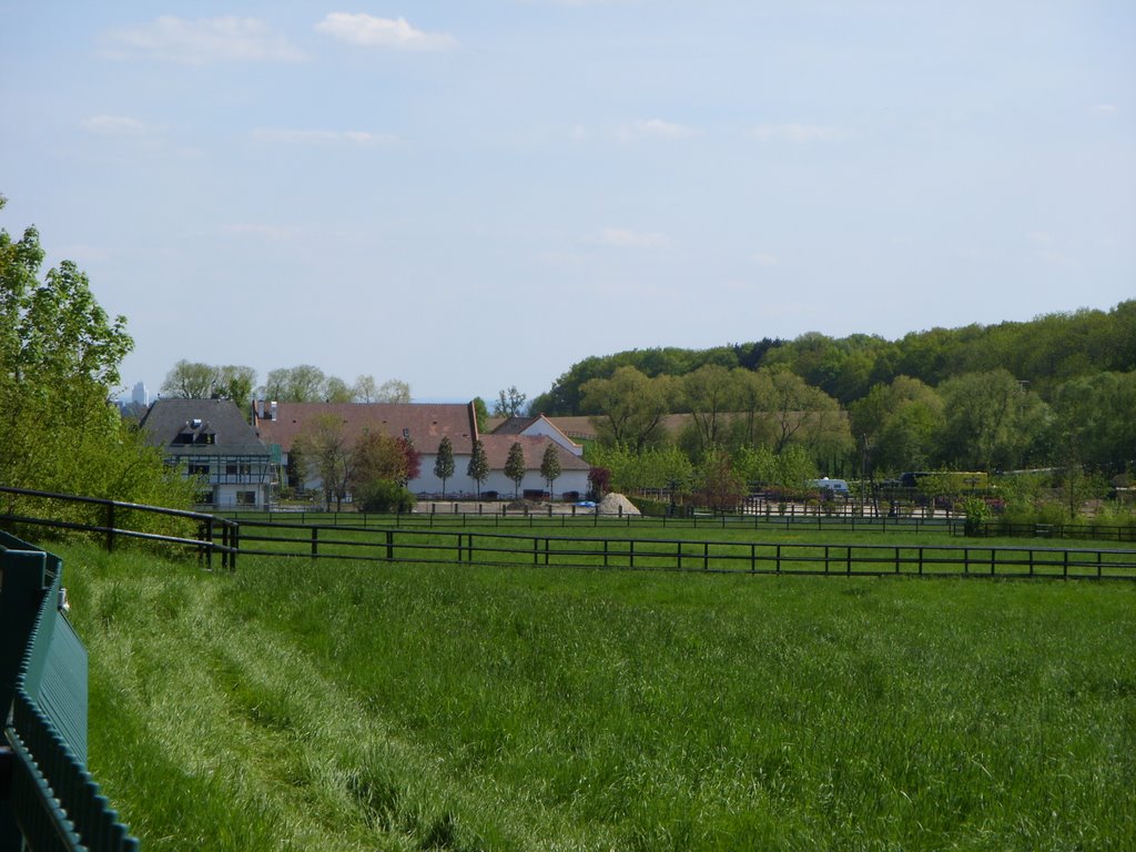 Pferdeweiden und Gebäude vom Schafhof I by hundertvolt