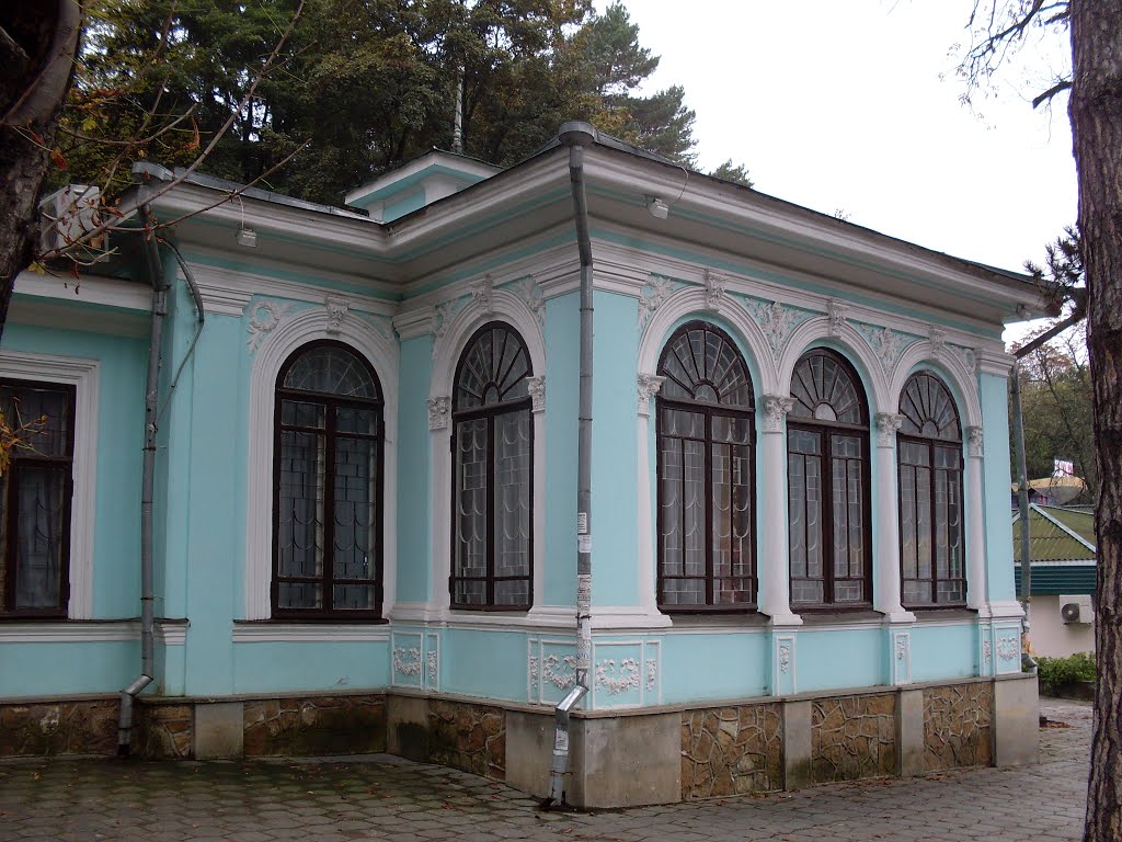 Старинное здание. Old house. by Igor Volkhov 2