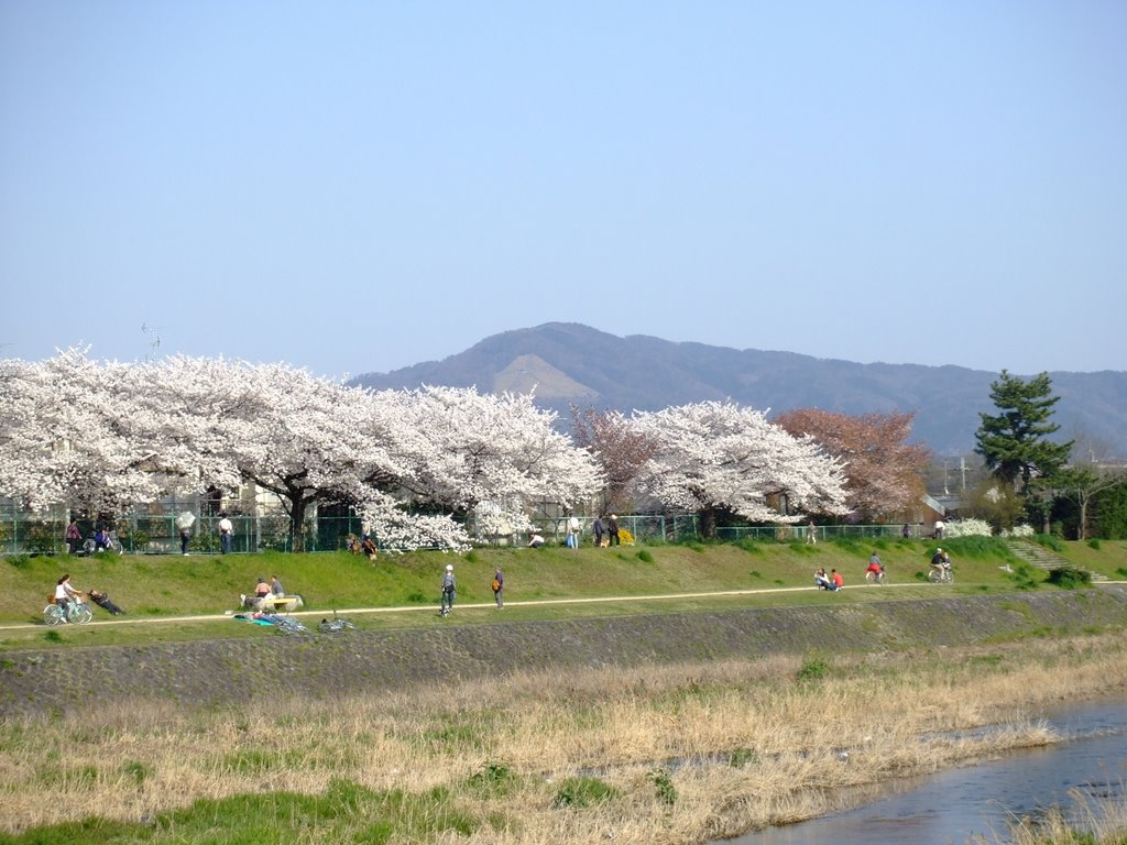 Season in bloom by boocoro