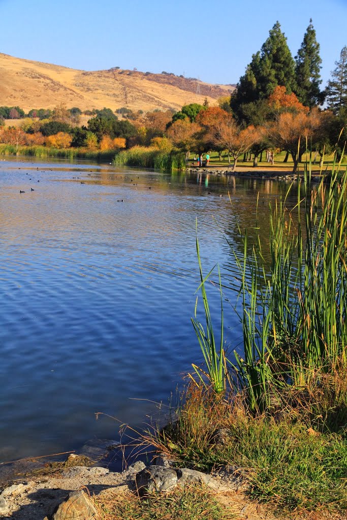 Hellyer County Park, San Jose by HarrisH