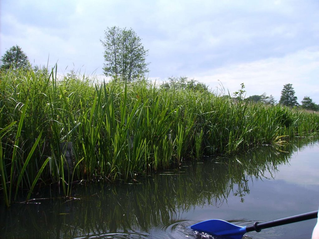 Lehde, Lübbenau/Spreewald, Germany by yeti2001