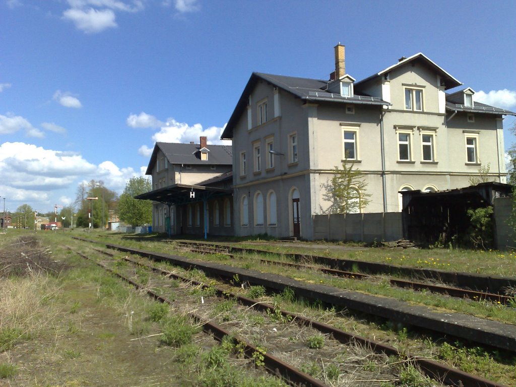 Bahnhof Penig by heinzl