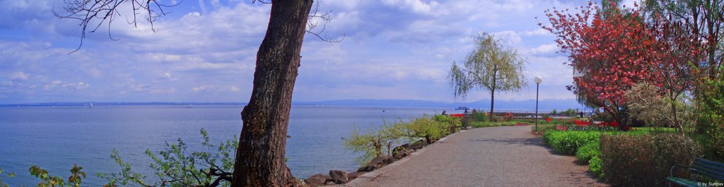 Panorama bei Romanshorn © by Sunpixx by Sunpixx