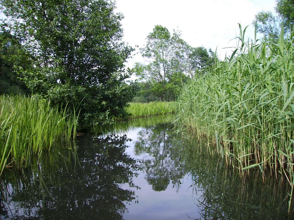 Lehde, Lübbenau/Spreewald, Germany by yeti2001