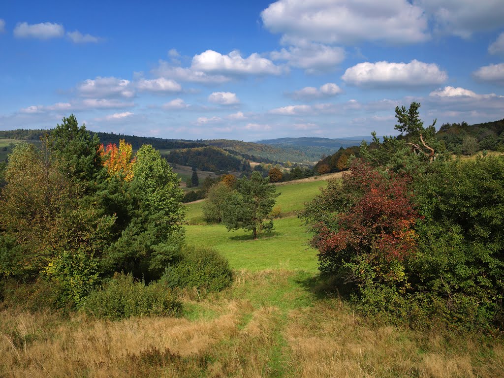 Radocyna, wrzesień 2008 by Koziołrogacz