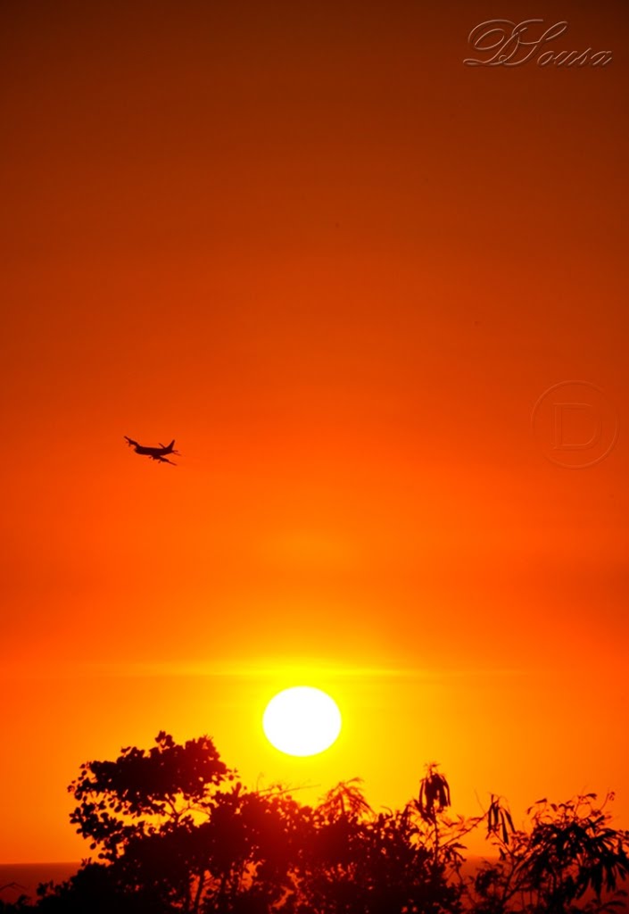 Plane Sunset by Sousa-Dan