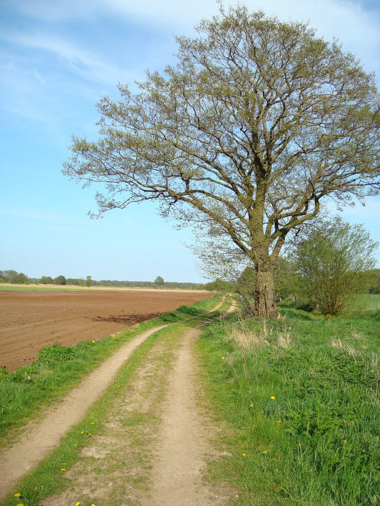 Feldweg Fischerhude by Meik