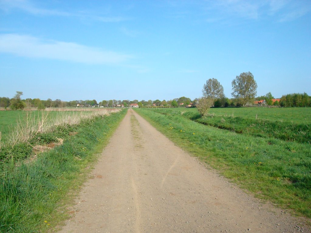 Feldweg Wümmewiesen Fischerhude by Meik