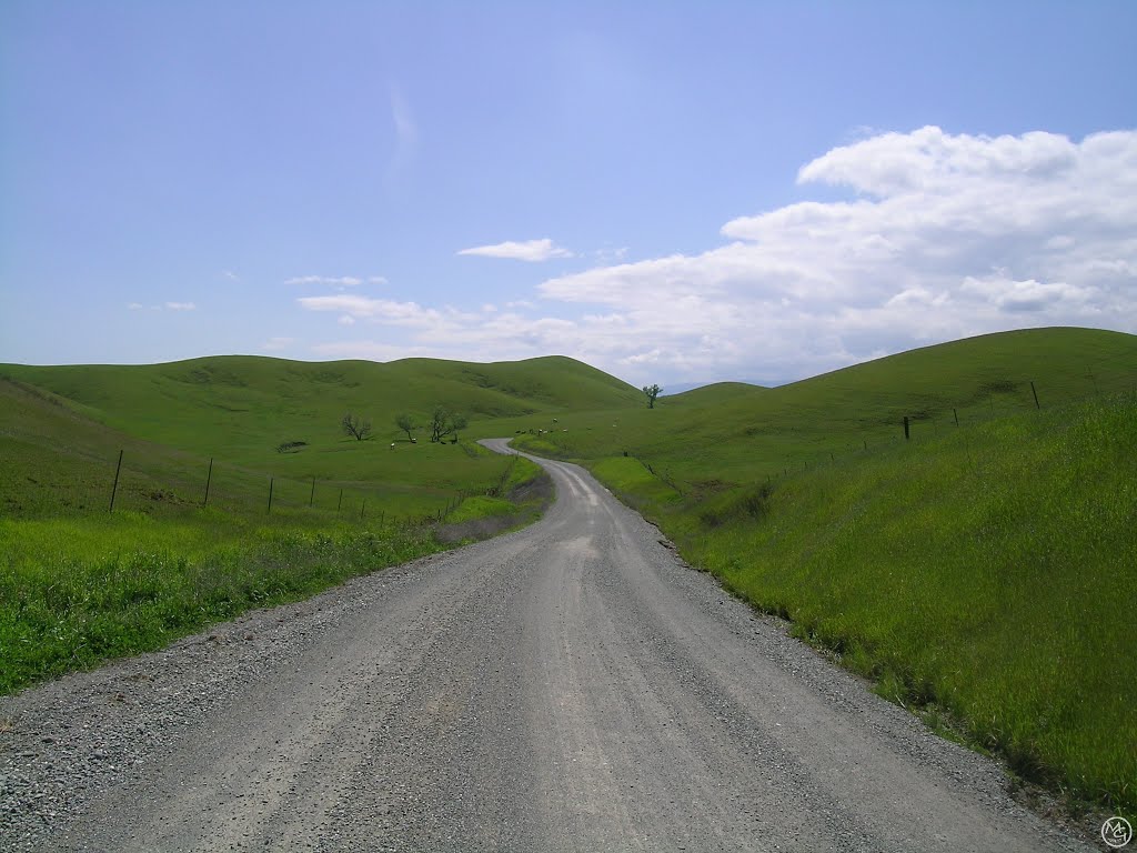 Tehama County Outback by Mike Goff