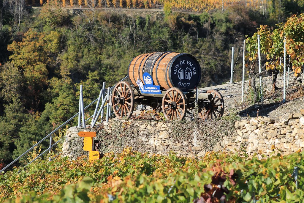 Sion - Bisse de Clavau - Départ by Charly-G. Arbellay