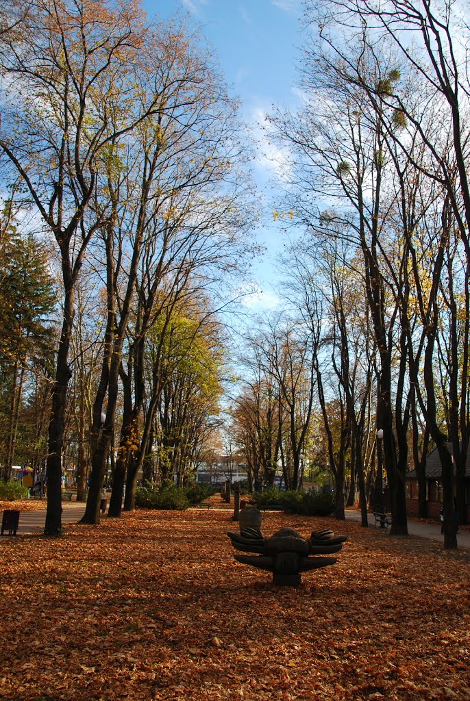 Walking in The Expo Garden by Losy