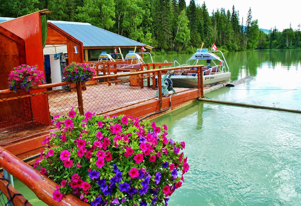 River Safari, Blue River, BC by Shahnoor Habib Munmun