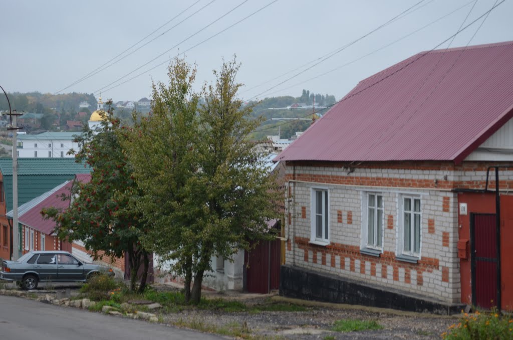 Russia. Yelets (99201874) by Viktor Bakhmutov