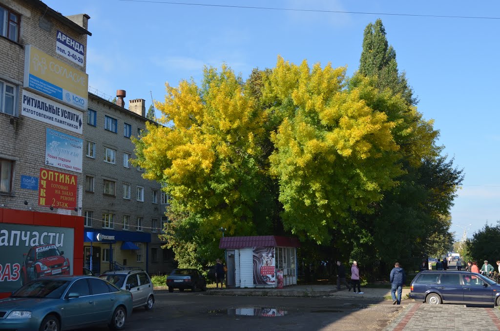 Russia. Yelets (99203380) by Viktor Bakhmutov