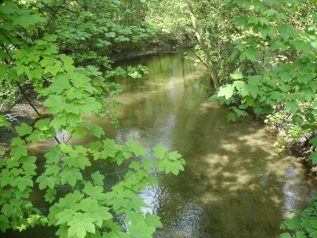 Wolfenbüttel, Die Oker im Seeligerpark 2 by HarryAusdemharz