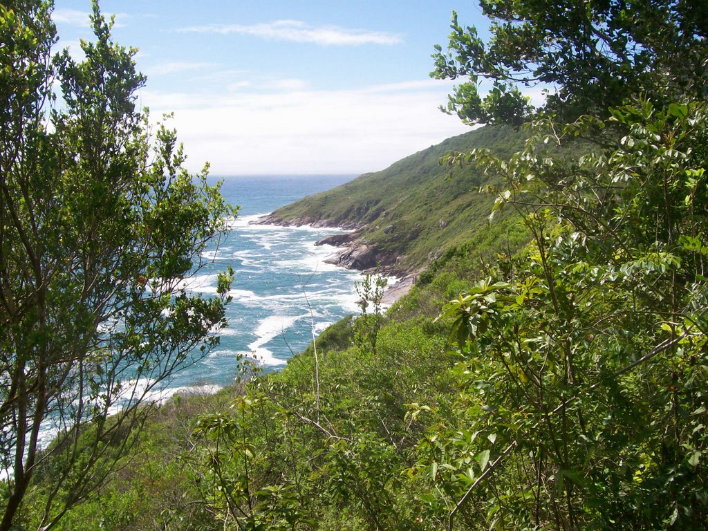 Costão Direito da Praia do Matadeiro 1 by IIGeo