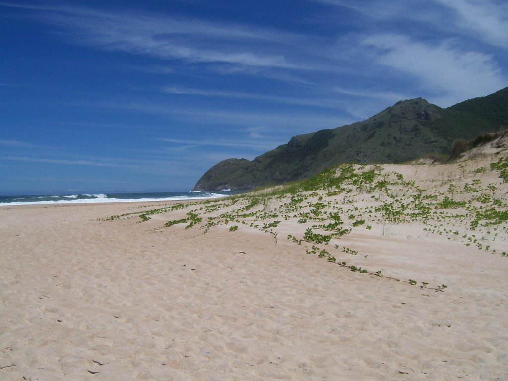 Florianópolis, State of Santa Catarina, Brazil by IIGeo