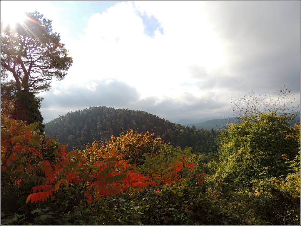 Herbstfarben, Burgruine Altdahn by ©junebug