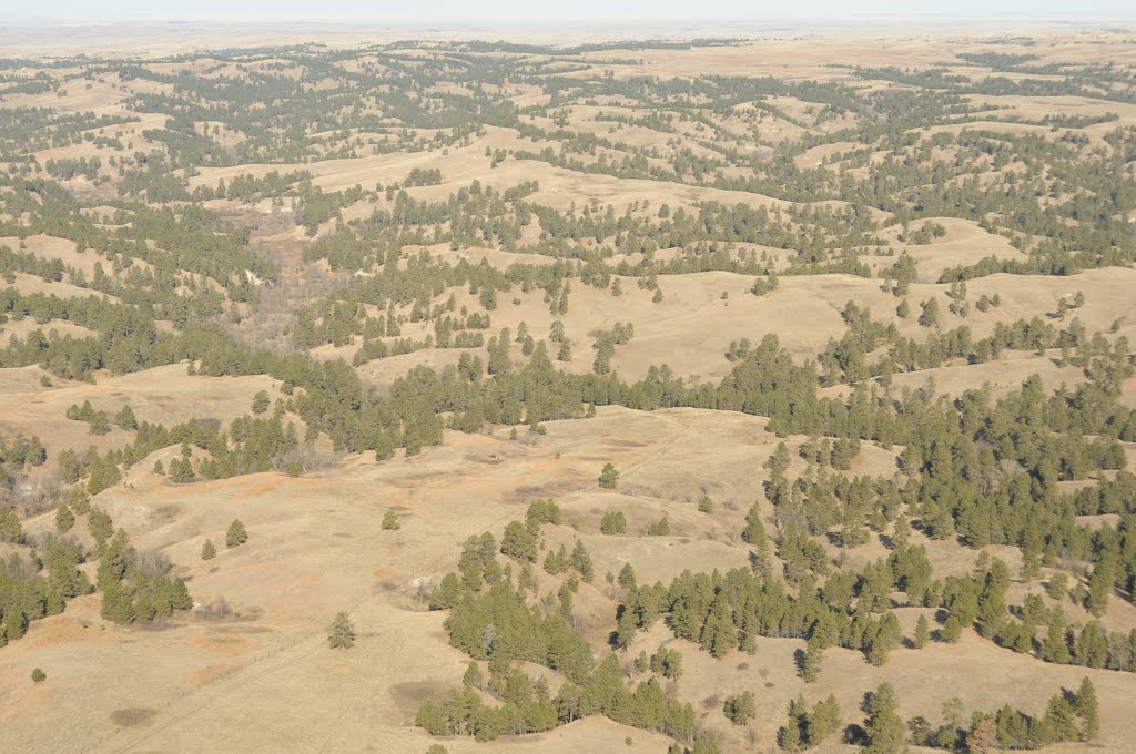 Aerial View, Pine Ridge by John Sidle