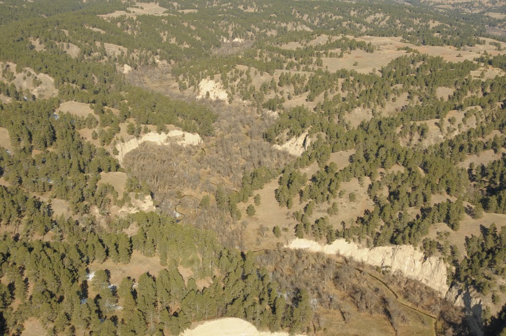 Aerial View, Pine Ridge by John Sidle