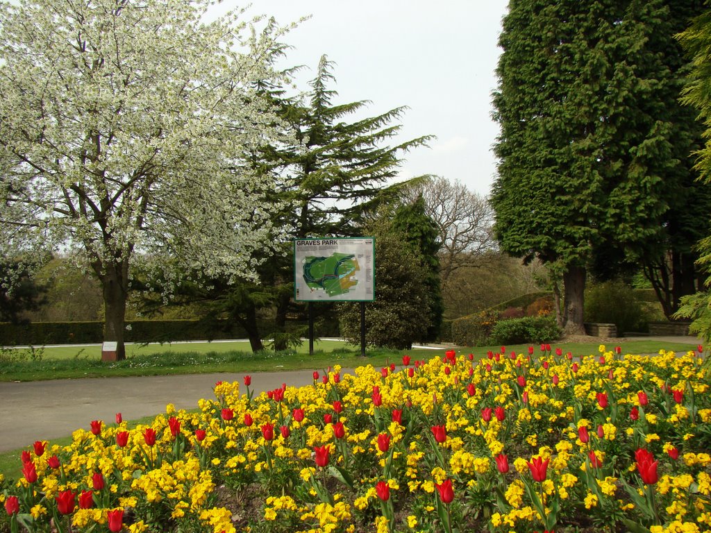 Graves Park springtime display, Sheffield S8 by sixxsix