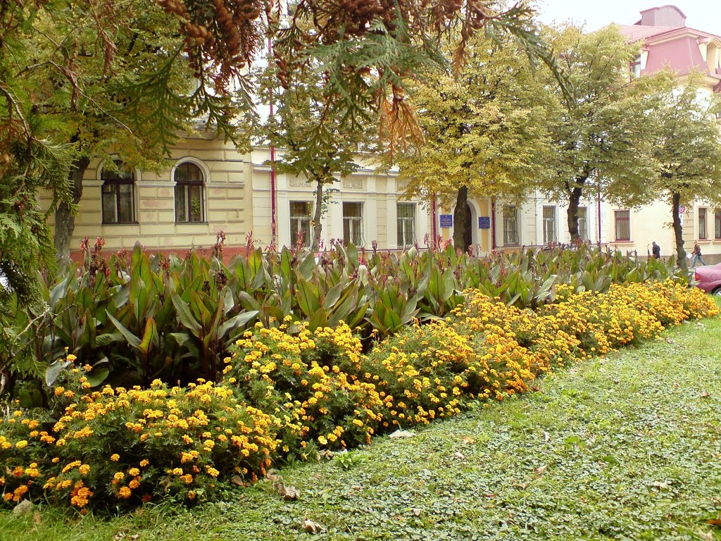 Ternopil , streetscape , on a misty mid autumn day ... by Michael Caine