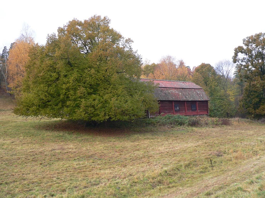 Norra Djurgården, Östermalm, Stockholm, Sweden by karleriks