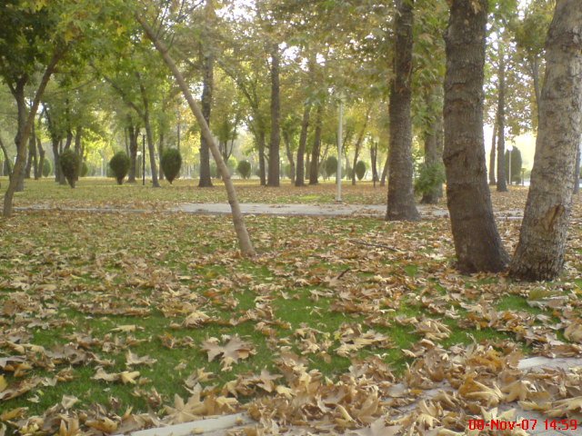 mashhad-mellat park-fall season by farzad-d-t