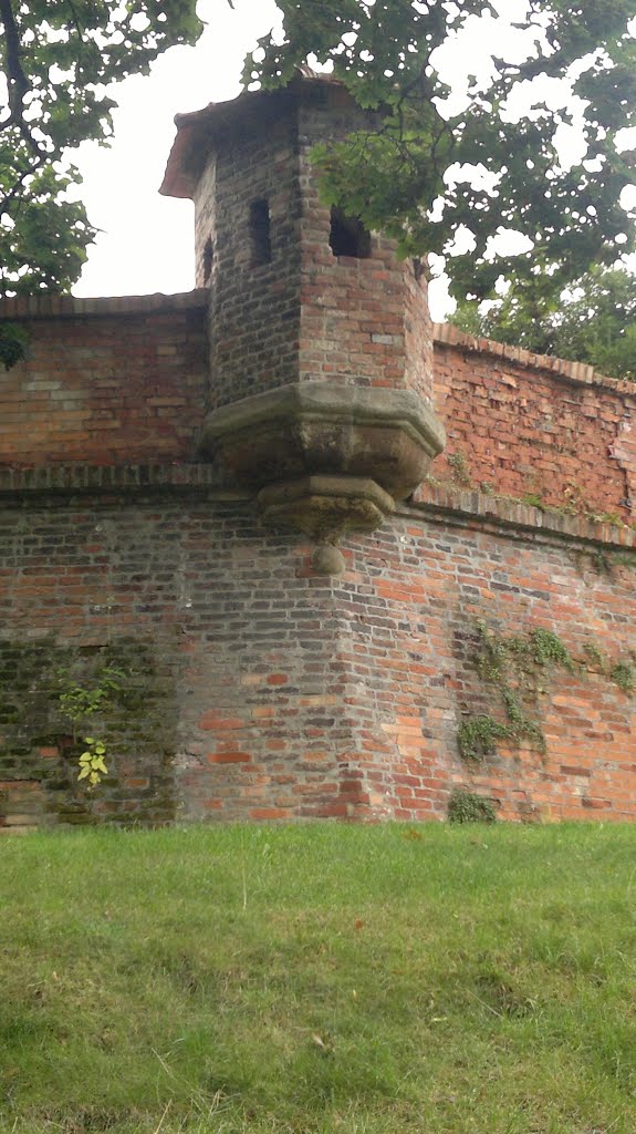 Hrad Špilberk. Opevnění hradu -·- Fortificaciones del castillo Špilberk by Manosbrujas