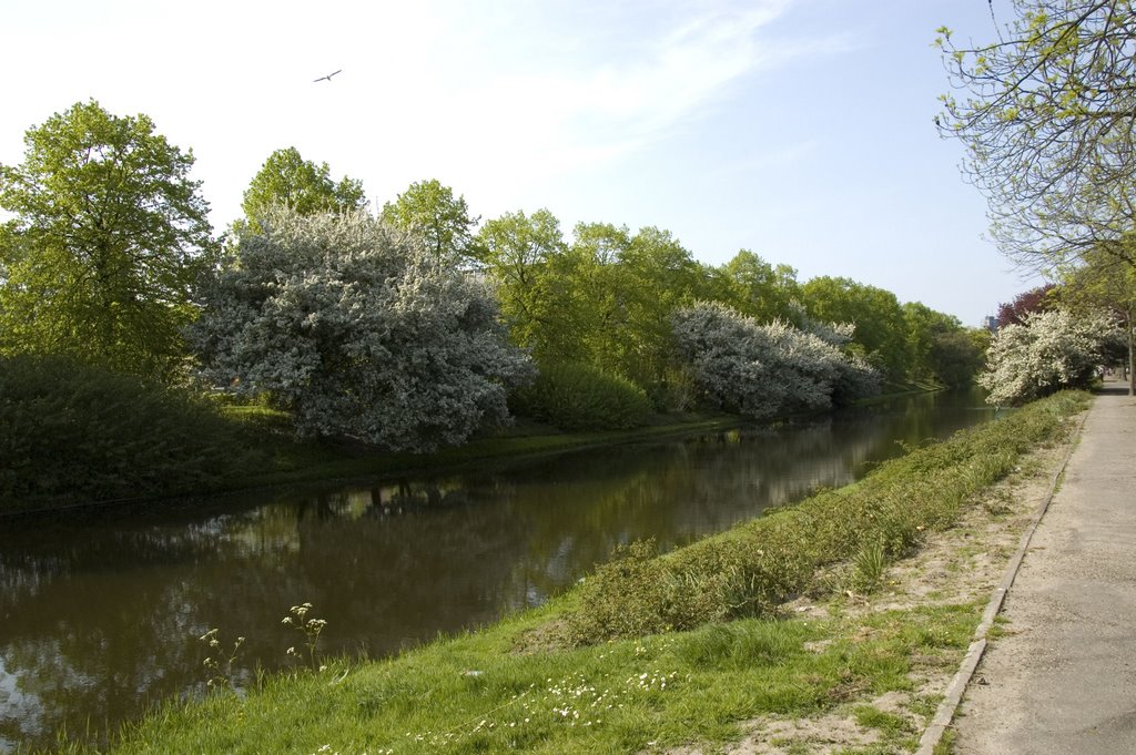 Boergoensevliet by Bart Platzbeecker