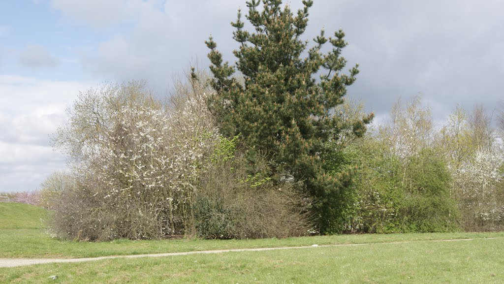 Basingstoke, Hampshire, UK by Michael Boks