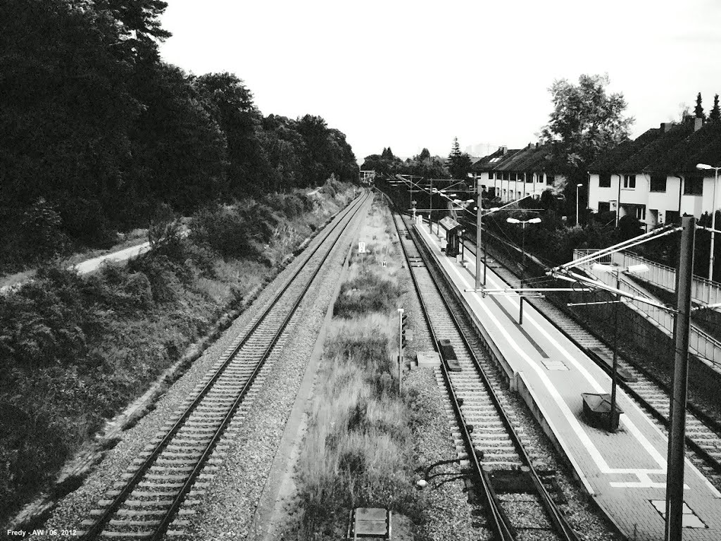 Black & White / Bahnhof by Fredy - AW