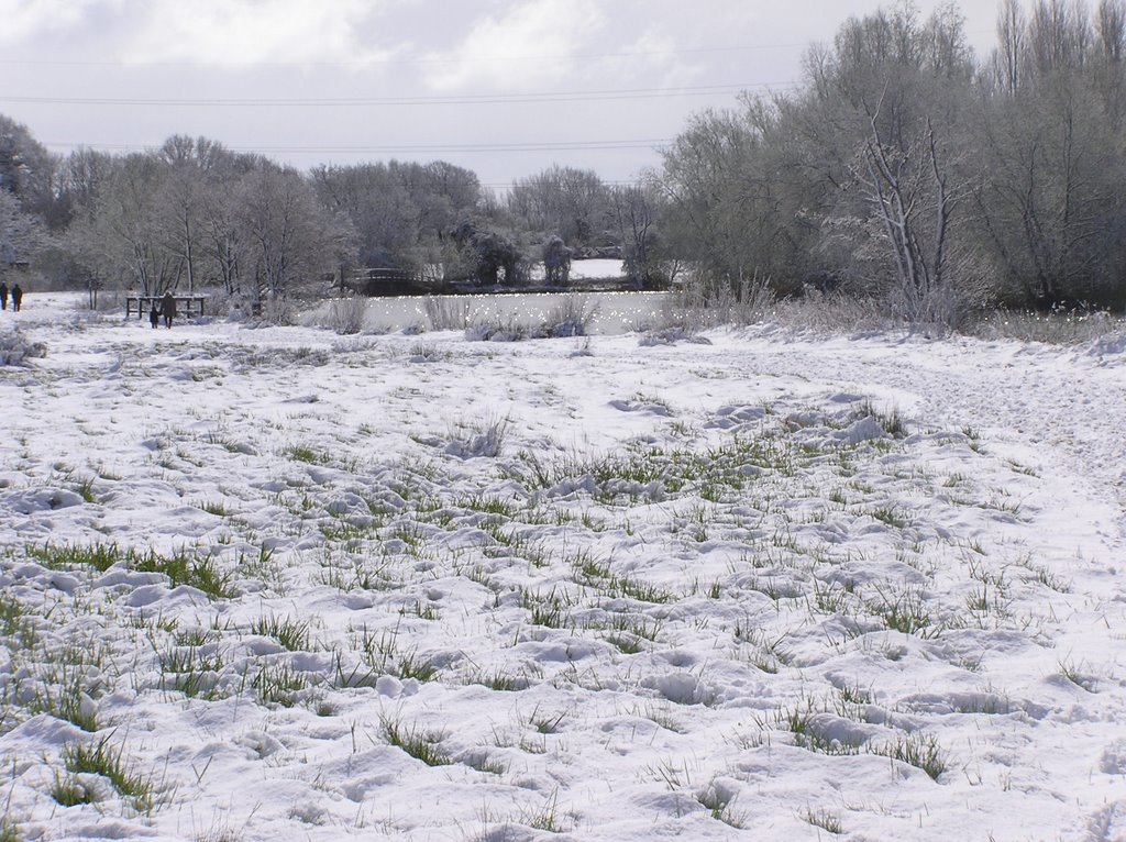 Thames Path near Abingdon by Paddington Bear