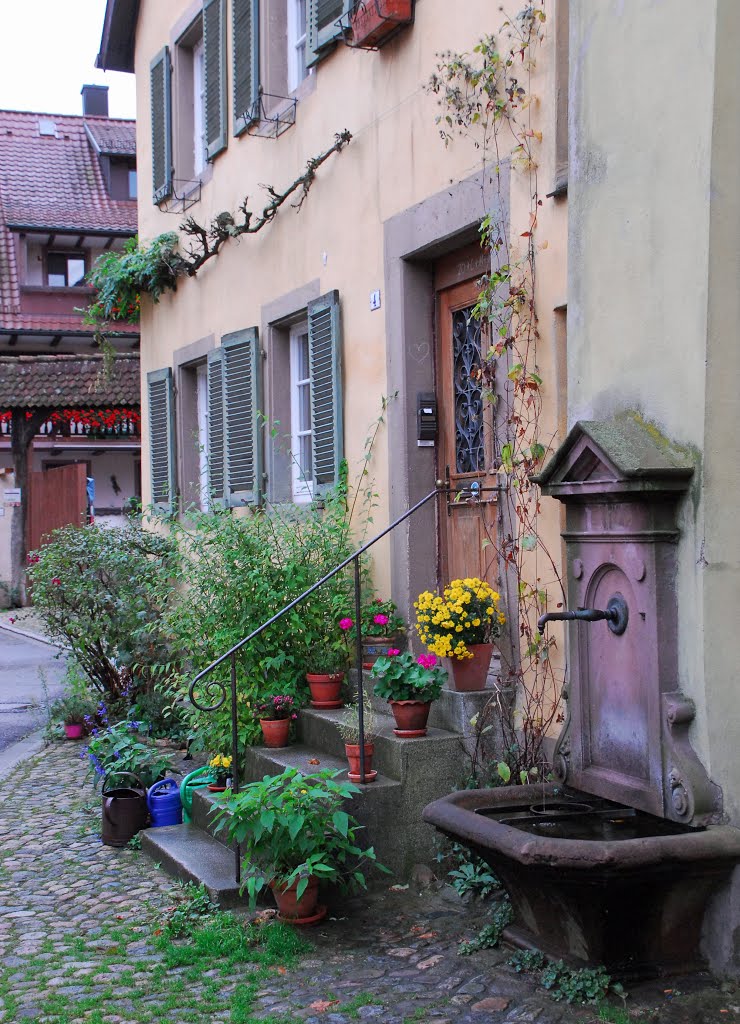 Idylle in Staufen im Breisgau by Andreas-Müller