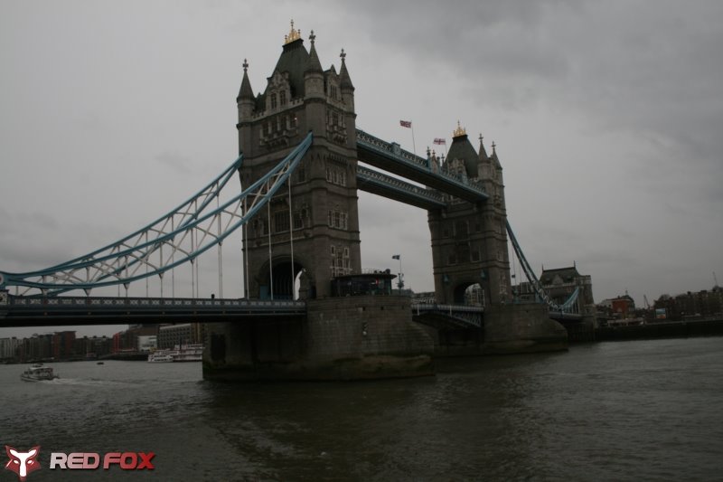 Tower Bridge by Red Fox