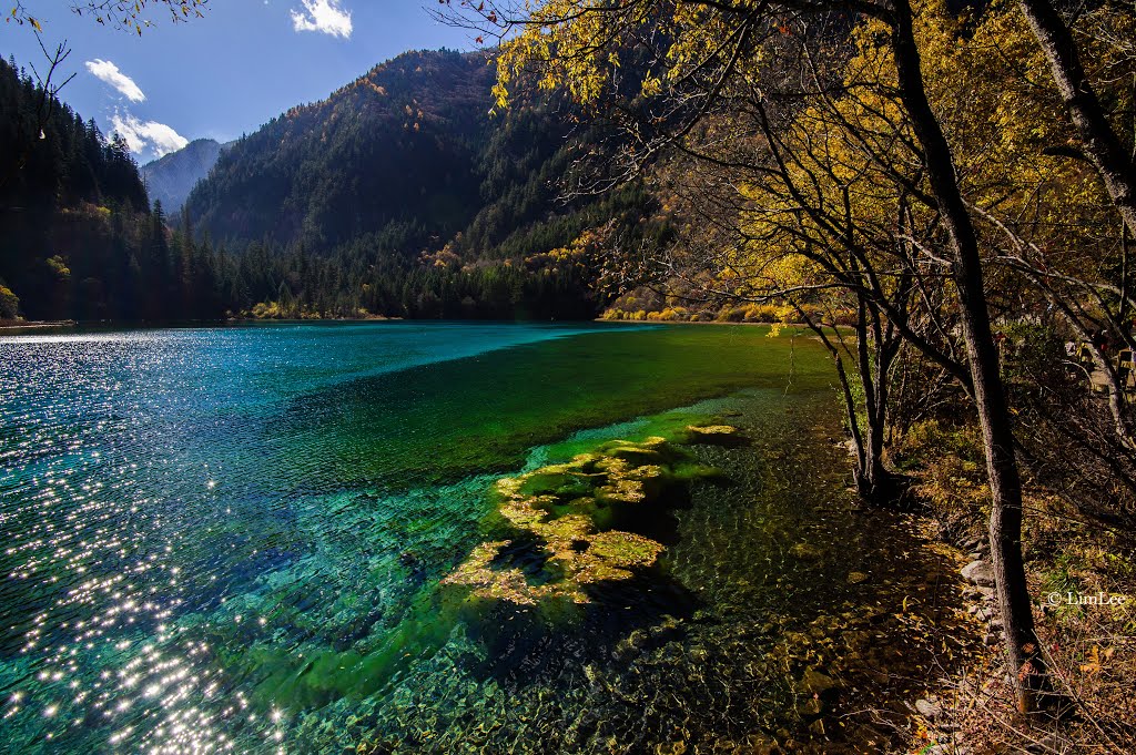 Jiuzhaigou 051113 by Lim Lee