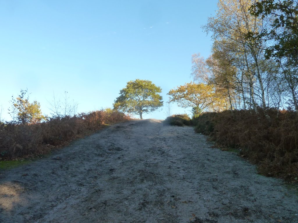 15-11-2013. Longmoor Army Range, near Liss Forest. by RedRobbo