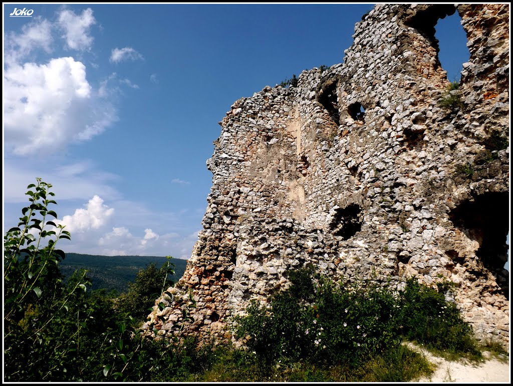 HRAD TURŇA /CASTLE TURŇA/ by < JOKO >